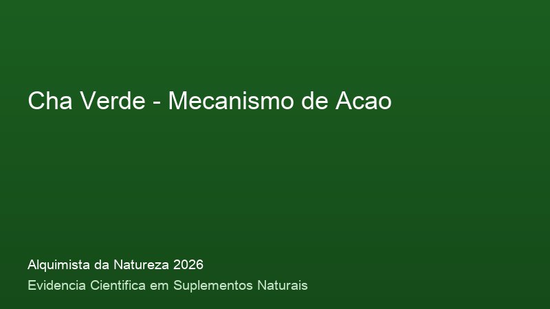 Cha Verde: Guia Definitivo com Base Cientifica 2026 Mecanismo de acao do Cha Verde: como funciona no corpo humano - infografico cientifico 2026