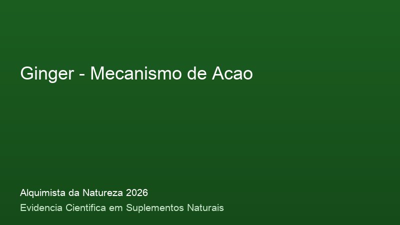 Ginger: Guia Definitivo com Base Cientifica 2026 Mecanismo de acao do Ginger: como funciona no corpo humano - infografico cientifico 2026