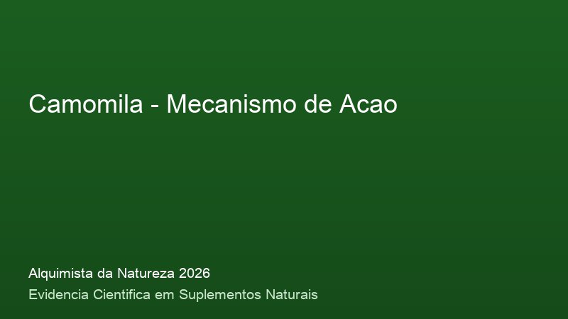 Mecanismo de acao do Camomila: como funciona no corpo humano - infografico cientifico 2026