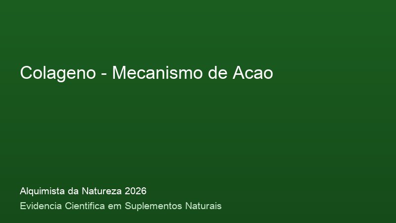 Mecanismo de acao do Colageno: como funciona no corpo humano - infografico cientifico 2026