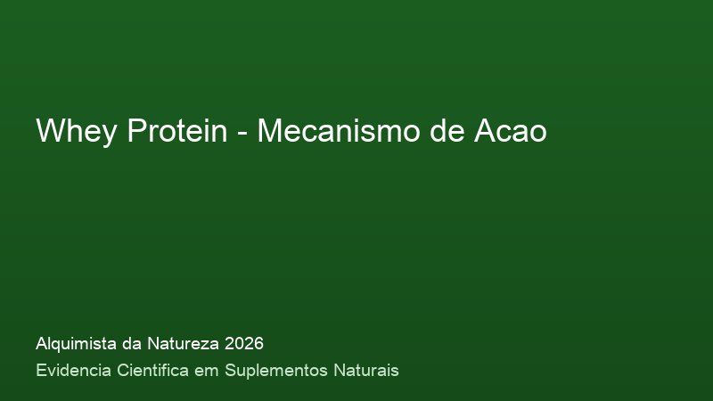Whey Protein: Guia Definitivo com Base Cientifica 2026 Mecanismo de acao do Whey Protein: como funciona no corpo humano - infografico cientifico 2026