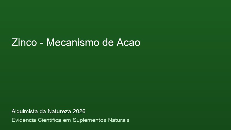 Zinco: Guia Definitivo com Base Cientifica 2026 Mecanismo de acao do Zinco: como funciona no corpo humano - infografico cientifico 2026